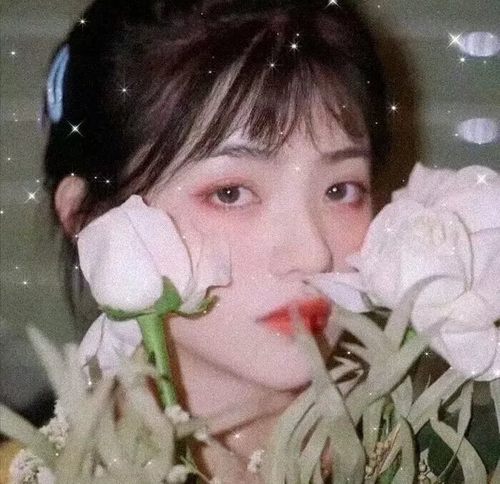 双生儿
